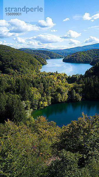 Von Bäumen umgebener See