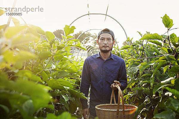 Japanischer Mann mit Mütze steht im Gemüsefeld  hält Korb und schaut in die Kamera.