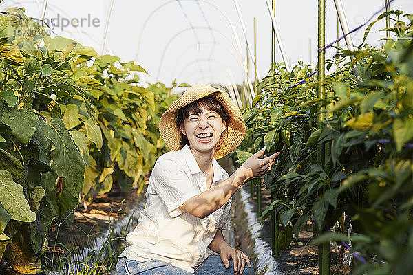 Japanische Frau mit Hut steht im Gemüsefeld  pflückt frische Paprika und lächelt in die Kamera.