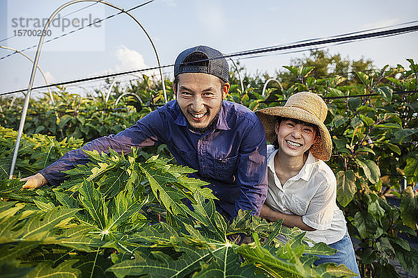 Japanischer Mann mit Mütze und Frau mit Hut stehen im Gemüsefeld und lächeln in die Kamera.