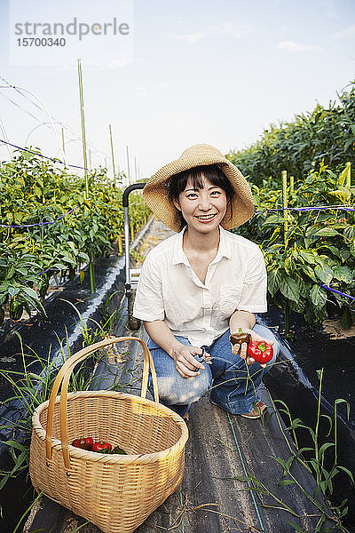 Japanerin mit Hut kniend im Gemüsefeld  in die Kamera lächelnd  Korb mit frischen Paprikaschoten.