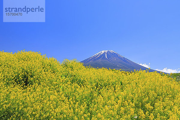 Blick auf den Berg Fuji