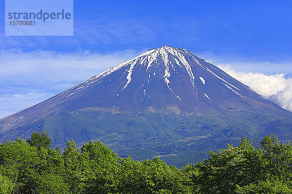 Blick auf den Berg Fuji