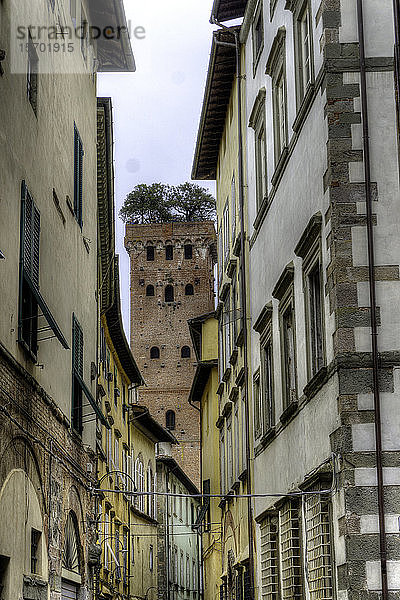 Italien  Toskana  Lucca  Guinigi-Turm