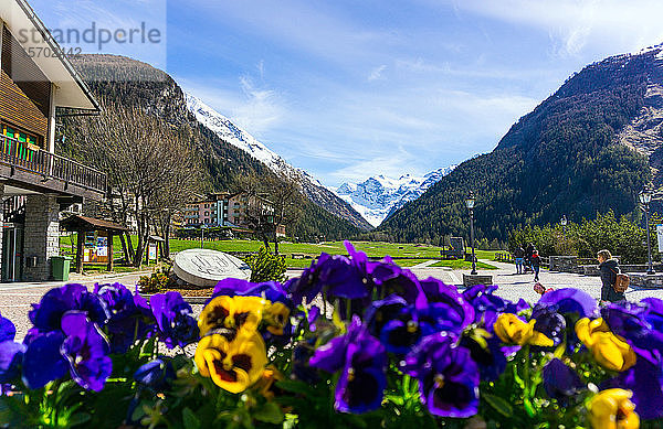 Italien  Aosta-Tal  Cogne