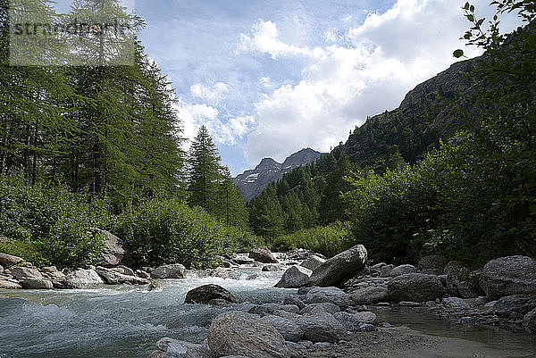 Italien  Aostatal  Nationalpark Gran Paradiso  Fluss im Aostatal