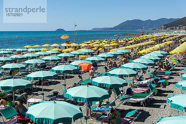 Italien  Ligurien  Loano  Sonnenschirm am Strand
