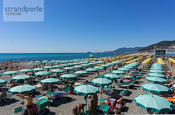 Italien  Ligurien  Loano  Sonnenschirm am Strand