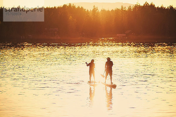 Silhouette Paar standup paddleboarding auf sonnigen Sonnenuntergang See  Shawnigan Lake  Kanada