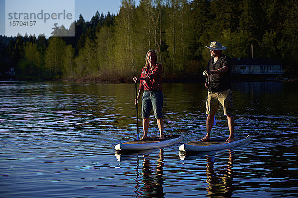 Paar beim Standup-Paddeln auf einem sonnigen See  Shawnigan Lake  British Columbia  Kanada