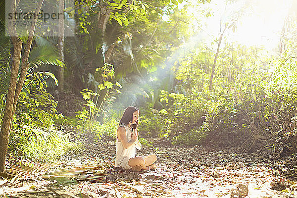 Gelassene Frau beim Meditieren in einem sonnigen  ruhigen Wald  Sayulita  Nayarit  Mexiko