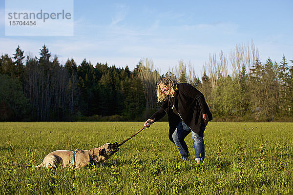 Frau und Hund spielen mit einem Stock in einem sonnigen ländlichen Feld