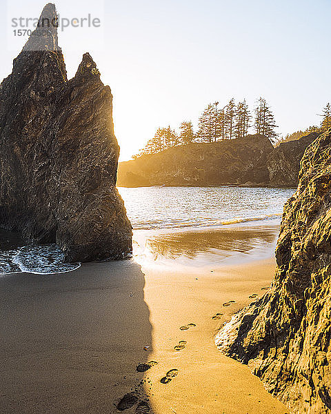 Felsformationen entlang des Strandes  Oregon  USA