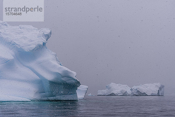 Schneesturm über Eisbergen  Portal Point  Antarktis