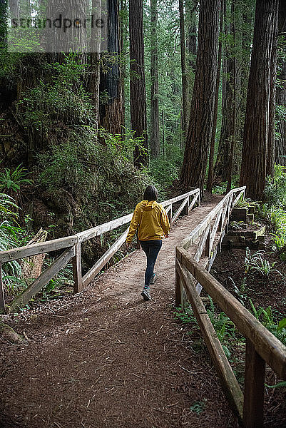 Wanderin auf Wanderweg  Rotholzwald  Kalifornien  USA