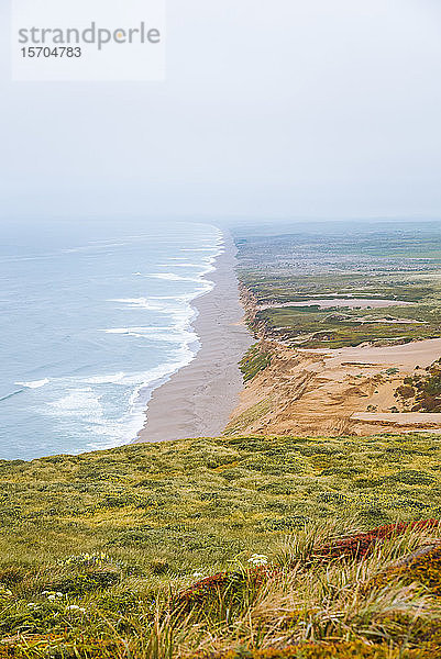 Frühling in Point Reyes an der Küste  Kalifornien  USA