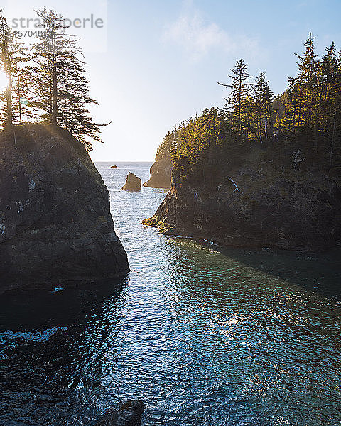 Felsformationen entlang des Strandes  Oregon  USA