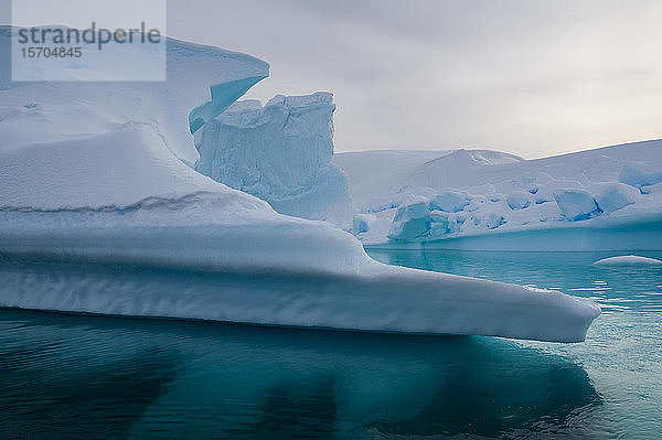 Eisberg  Skontorp Cove  Paradise Bay  Antarktis