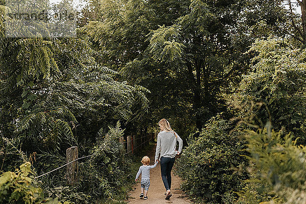 Mutter und Sohn gehen im Wald spazieren