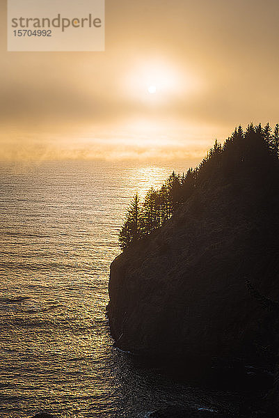 Felsformationen entlang des Strandes  Oregon  USA