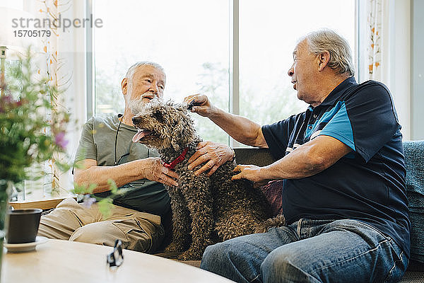 Ältere Männer unterhalten sich  während sie ihr Haustier streicheln  das auf dem Sofa im Altenheim sitzt