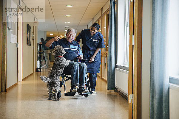 Eine Krankenschwester in voller Länge steht neben einem behinderten älteren Mann im Rollstuhl  der mit einem Hund auf einer Gasse im Altenheim spielt