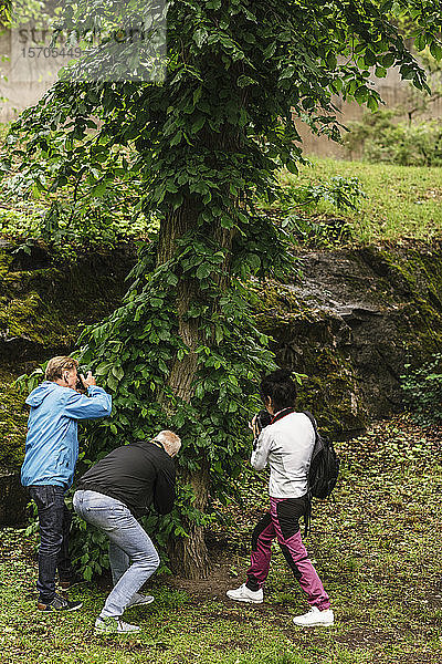 Weibliche Ausbilderin und ältere Männer fotografieren Baum während des Fotokurses