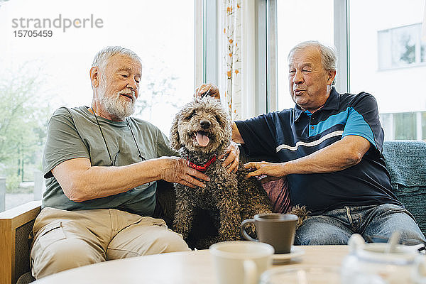 Ältere männliche Freunde im Ruhestand unterhalten sich beim Streicheln eines auf dem Sofa sitzenden Haustiers im Altenpflegeheim