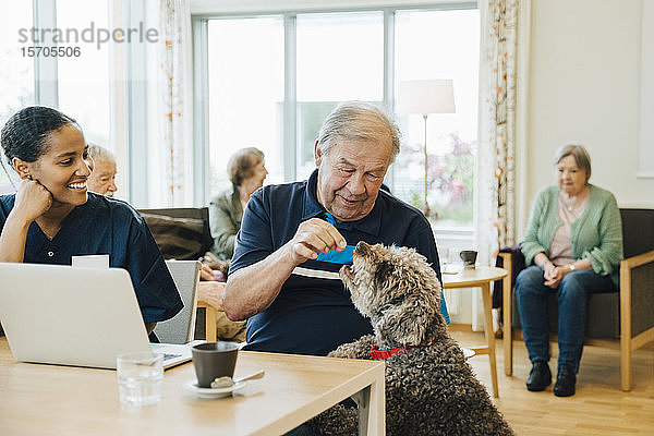 Lächelnde Krankenschwester betrachtet älteren Mann  der einen Hund im Altenheim füttert