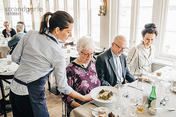 Besitzer serviert Essen für ältere Freunde am Restauranttisch