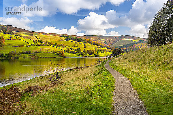 Blick auf die Herbstfarben am Ladybower Reservoir  Derbyshire  Peak District National Park  England  Vereinigtes Königreich  Europa