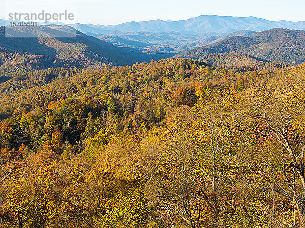 Herbstliche Aussicht auf die Berge vom Blue Ridge Parkway  Appalachen  North Carolina  Vereinigte Staaten von Amerika  Nordamerika
