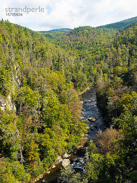 Linville River  Blue Ridge Mountains  Appalachen  North Carolina  Vereinigte Staaten von Amerika  Nord-Amerika