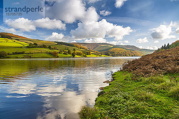 Blick auf die Herbstfarben am Ladybower Reservoir  Derbyshire  Peak District National Park  England  Vereinigtes Königreich  Europa