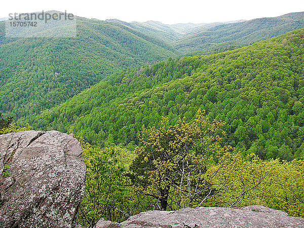 Blick auf Blue Ridge Mountains  North Carolina  Vereinigte Staaten von Amerika  Nordamerika