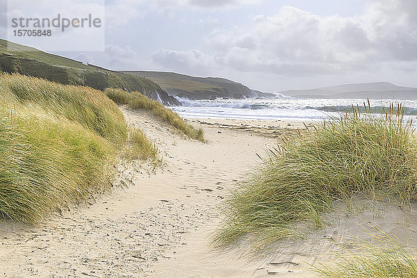 Muscheltombolo aus feinem weißen Sand  Dünen und Gräser  Strand  Wellenschlag  St. Ninian's Isle  Mainland  Shetland-Inseln  Schottland  Vereinigtes Königreich  Europa