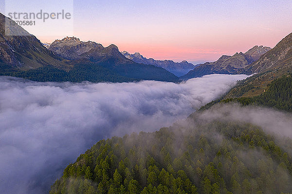 Nebliger Sonnenaufgang über den Wäldern des Malojapasses in der Morgendämmerung  Luftaufnahme mit Drohne  Engadin  Kanton Graubünden  Schweiz  Europa