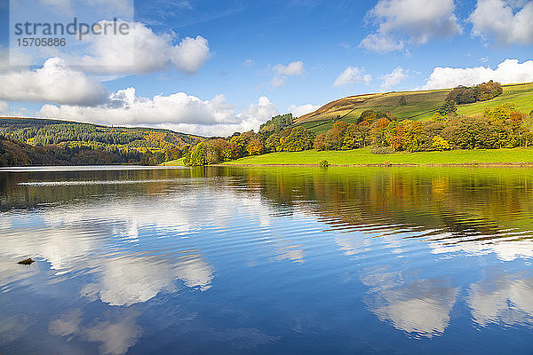 Blick auf die Herbstfarben am Ladybower Reservoir  Derbyshire  Peak District National Park  England  Vereinigtes Königreich  Europa