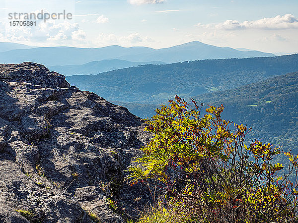Blick vom Gipfel des Grandfather Mountain  Blue Ridge Mountains  Appalachen  North Carolina  Vereinigte Staaten von Amerika  Nord-Amerika
