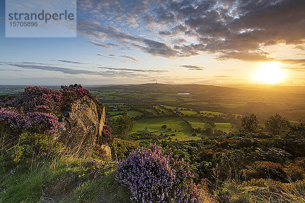 Sonnenaufgang mit Heidekraut über Croker Hill und Macclesfield  Cheshire  England  Vereinigtes Königreich  Europa