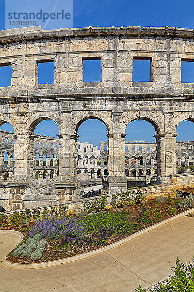 Ansicht des römischen Amphitheaters  Pula  Gespanschaft Istrien  Kroatien  Adria  Europa