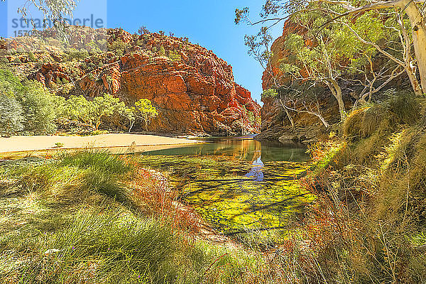 Panoramablick auf das Wasserloch Ellery Creek Big Hole in den West MacDonnell Ranges  umgeben von roten Felsen und Buschvegetation im Outback  Northern Territory  Zentralaustralien  Australien  Pazifik