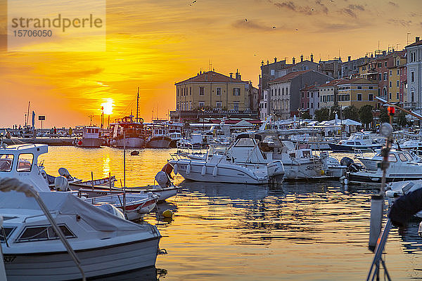 Blick auf den Hafen und die Altstadt bei Sonnenuntergang  Rovinj  Istrien  Kroatien  Adria  Europa