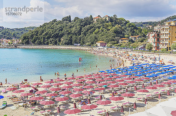Strand  Blick von oben  Lerici  Bezirk La Spezia  Ligurien  Italien  Europa