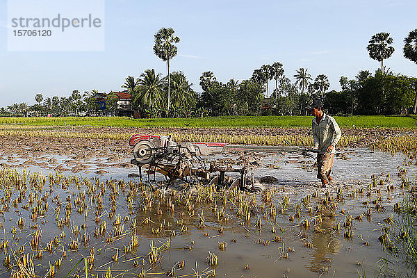 Asiatischer Bauer pflügt Reisfeld mit einem Traktor  Kep  Kambodscha  Indochina  Südostasien  Asien
