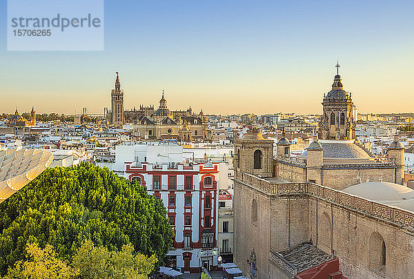 Skyline von Sevilla mit der Kathedrale und den Dächern der Stadt vom Metropol Parasol aus  Sevilla  Andalusien  Spanien  Europa