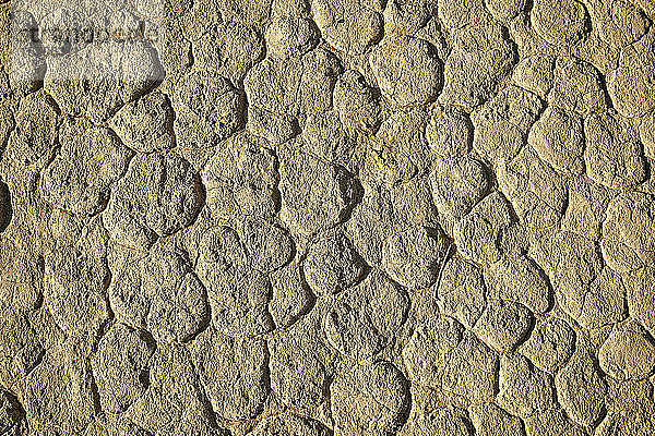 Nahaufnahme der Salzfläche in Deadvlei  Sossusvlei  Namib-Wüste  Namibia
