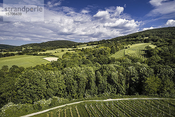 Österreich  Niederösterreich  Luftaufnahme von grün bewaldeten Hügeln und Weinbergen