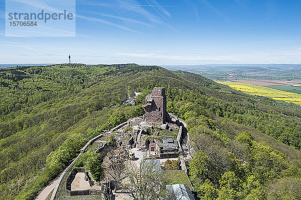 Deutschland  Thüringen  Luftaufnahme des Kyffhaeuser-Denkmals umgeben von grünem Wald
