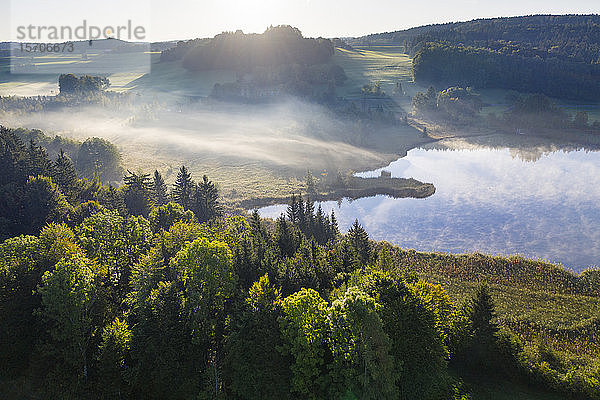Deutschland  Bayern  Oberbayern  Tölzer Land  Schädlich  Blick auf den Teich in der Landschaft bei Morgenlicht und Nebel